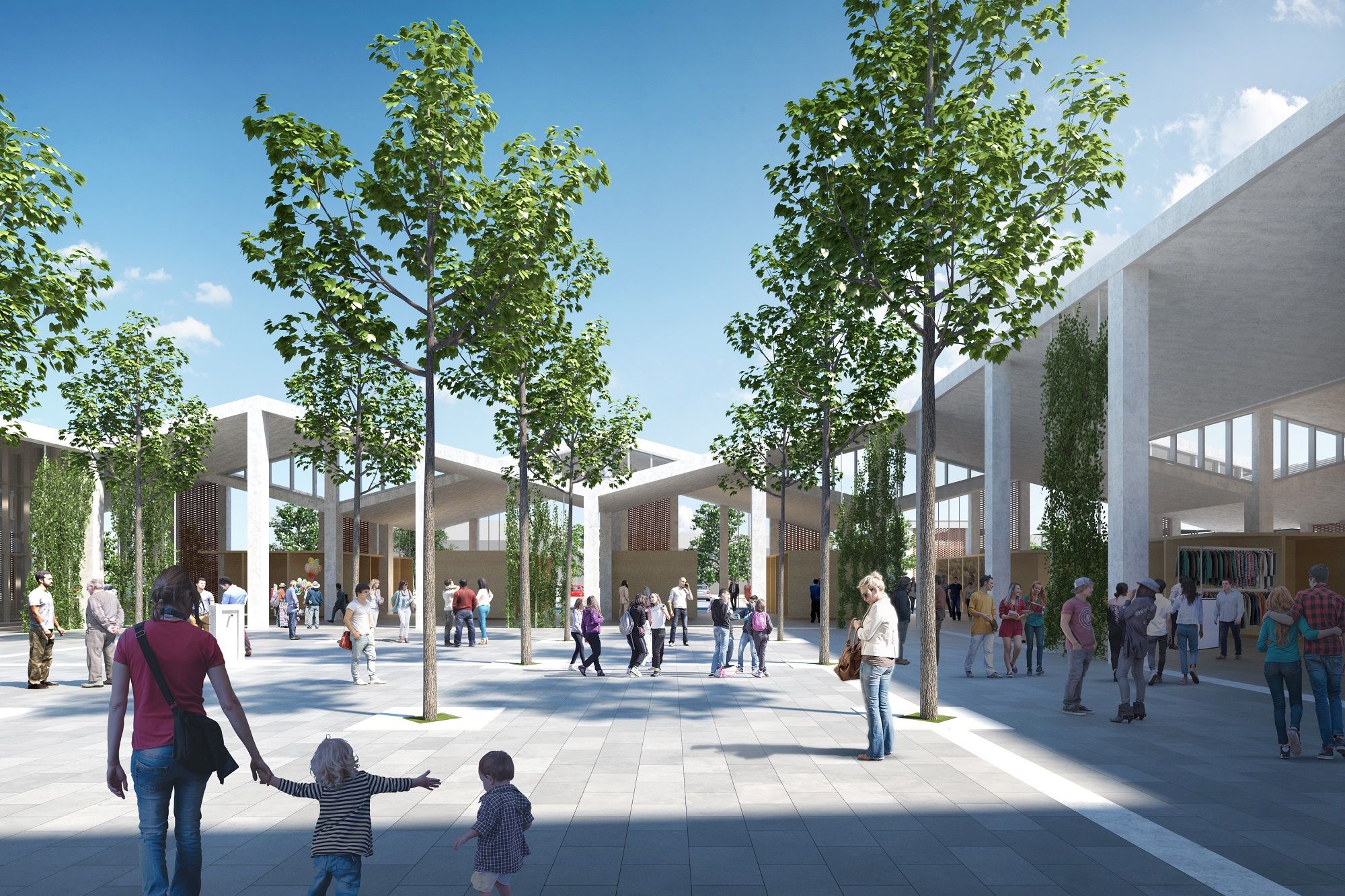 piac atrium frontalis V01